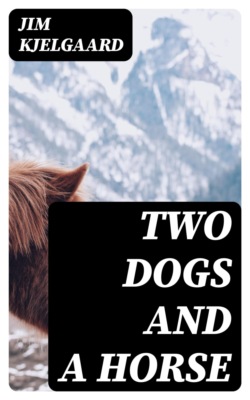 Two Dogs and a Horse