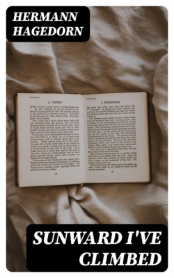 Sunward I've Climbed