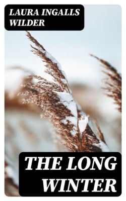 The Long Winter