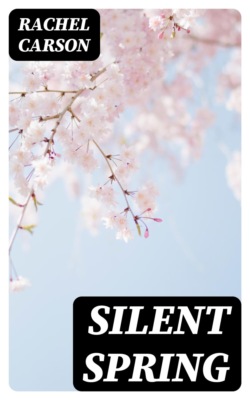 Silent Spring