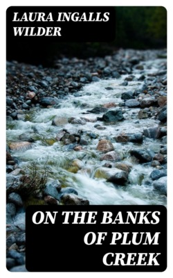 On the Banks of Plum Creek