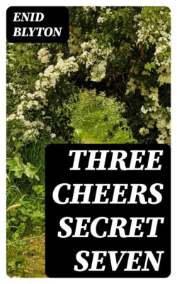 Three Cheers Secret Seven