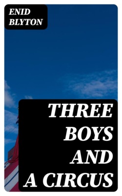 Three Boys and a Circus