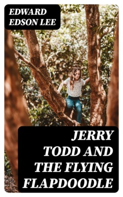 Jerry Todd and the Flying Flapdoodle