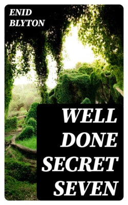 Well Done Secret Seven