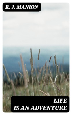 Life is an Adventure