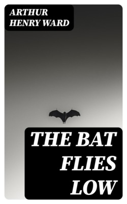 The Bat Flies Low