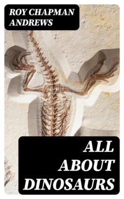 All About Dinosaurs