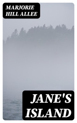 Jane's Island