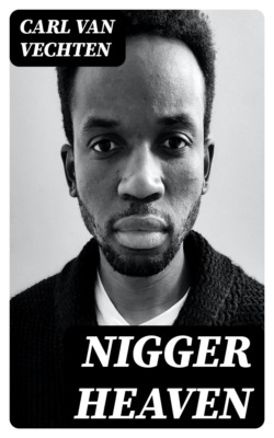 Nigger Heaven