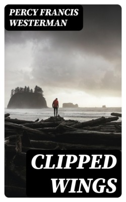 Clipped Wings