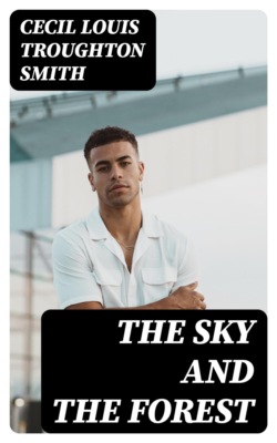 The Sky and the Forest