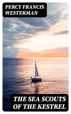 The Sea Scouts of the Kestrel