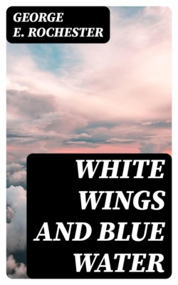 White Wings and Blue Water