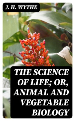 The Science of Life; or, Animal and Vegetable Biology