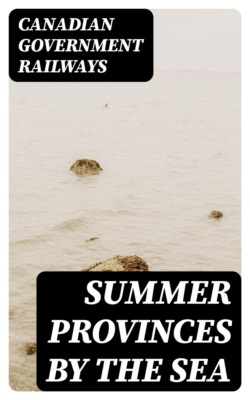 Summer Provinces by the Sea