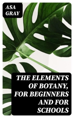 The Elements of Botany, For Beginners and For Schools