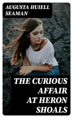 The Curious Affair at Heron Shoals