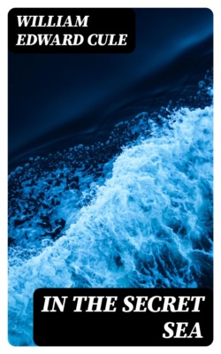 In the Secret Sea