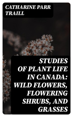 Studies of Plant Life in Canada: Wild Flowers, Flowering Shrubs, and Grasses