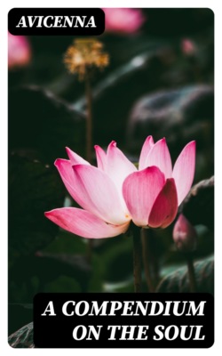 A Compendium on the Soul