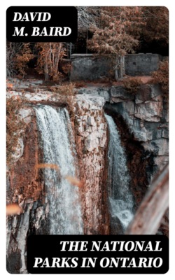 The National Parks in Ontario