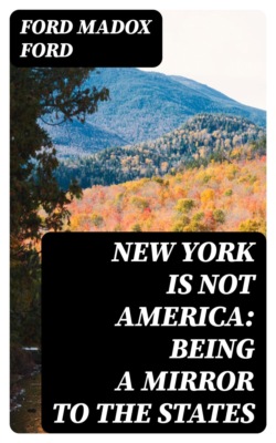 New York is Not America: Being a Mirror to the States