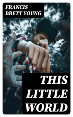 This Little World