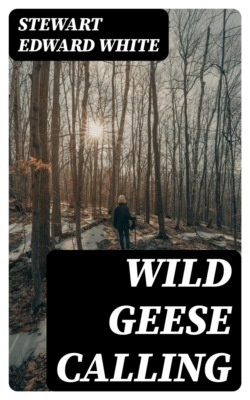 Wild Geese Calling