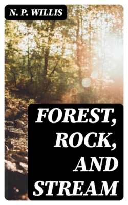 Forest, Rock, and Stream