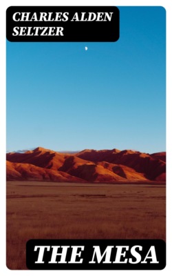 The Mesa