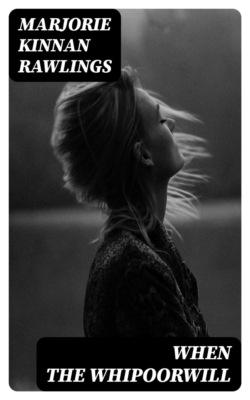 When the Whipoorwill