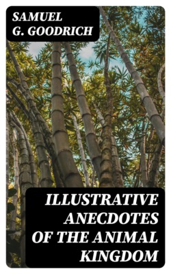 Illustrative Anecdotes of the Animal Kingdom