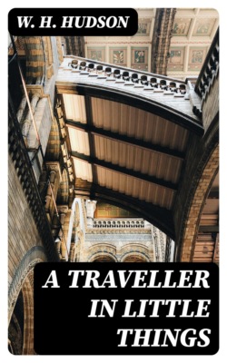 A Traveller in Little Things