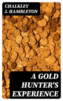 A Gold Hunter's Experience