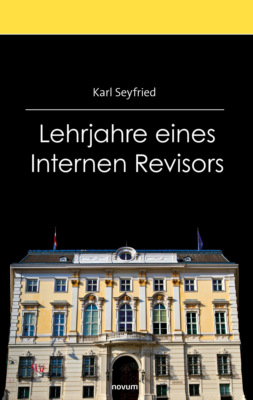 Lehrjahre eines Internen Revisors