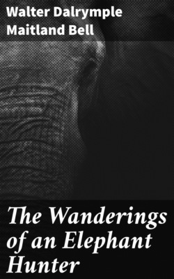 The Wanderings of an Elephant Hunter