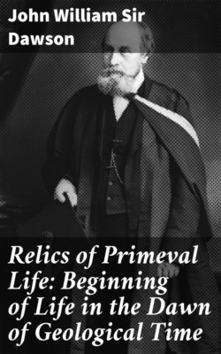 Relics of Primeval Life: Beginning of Life in the Dawn of Geological Time