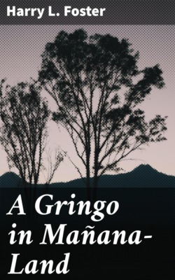 A Gringo in Mañana-Land