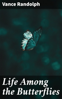 Life Among the Butterflies