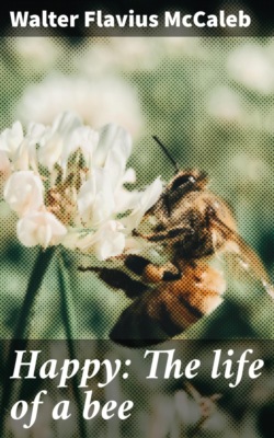 Happy: The life of a bee