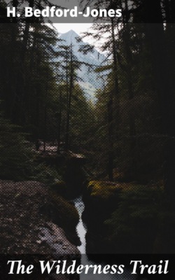 The Wilderness Trail