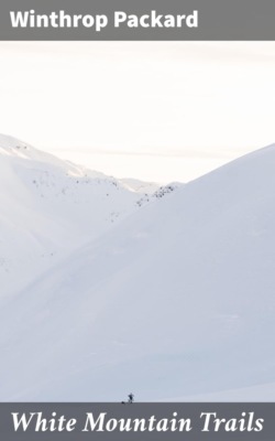 White Mountain Trails