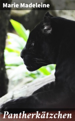 Pantherkätzchen