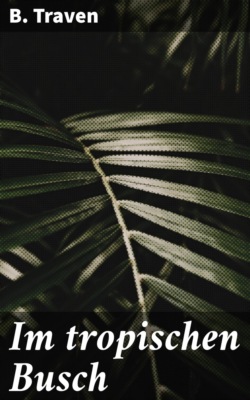 Im tropischen Busch