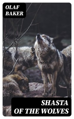 Shasta of the Wolves