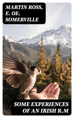 Some Experiences of an Irish R.M