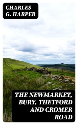 The Newmarket, Bury, Thetford and Cromer Road