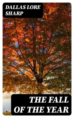 The Fall of the Year