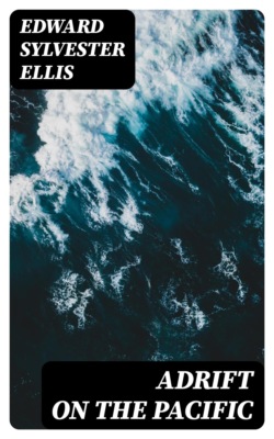 Adrift on the Pacific